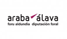 DIPUTACIÓN DE ÁLAVA