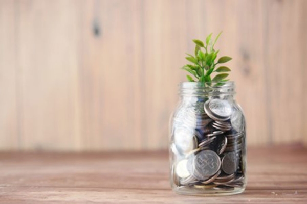 Who gives more? The competition between countries and regions to attract green investment